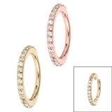 Steel 1.7mm Pave Set Jewelled Edge Hinged Clicker Ring – bodyjewellery ...