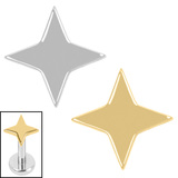 view all Titanium Internal Aquila Star body jewellery