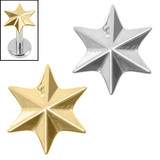 view all Titanium Internal Radiant Star body jewellery