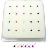 view all Silver Stud Boxes - Coloured Ball or Star Nose Studs body jewellery