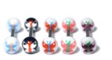Acrylic Butterfly Barbell 1.6x10mm / 5 / Pack of all 5 shown
