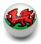 Steel Logo Balls - Pictures 1.6mm, 6mm, Welsh Dragon