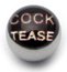 Steel Logo Balls - Words C*ck Tease