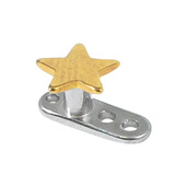 Titanium Dermal Anchor with Titanium Star Top 2.5mm, Gold