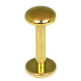 Titanium Labrets with Disk Top 1.6mm Gauge, 5mm Disk 1.6mm, 6mm, Gold