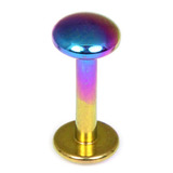Titanium Labrets with Disk Top 1.6mm Gauge, 5mm Disk 1.6mm, 6mm, Rainbow