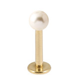 Zircon Steel Labret with Acrylic Pearl Ball 1.2mm 1.2mm, 12mm, 3mm White