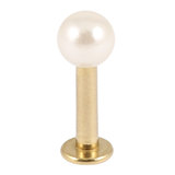 Zircon Steel Labret with Acrylic Pearl Ball 1.6mm, 10mm, 4mm ball