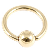 Zircon Steel Ball Closure Ring (BCR) (Gold colour PVD) 1.6mm, 14mm, 6mm
