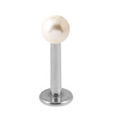 Steel Labret with Acrylic Pearl Ball 1.2mm - SKU 23663