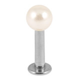Steel Labret with Acrylic Pearl Ball 1.6mm x 8mm (4mm ball)