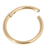 Zircon Steel Hinged Segment Ring (Gold colour PVD) (Clicker) - SKU 23841