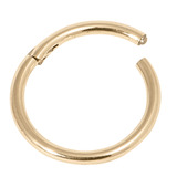 Zircon Steel Hinged Segment Ring (Gold colour PVD) (Clicker) 1.6mm, 12mm