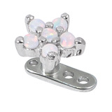 Titanium Dermal Anchor with Claw Set 5 point Steel Opal Flower Top 2.5mm, Steel 5-Point Opal Flower in White