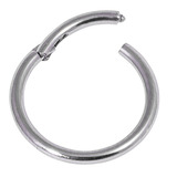 Titanium Hinged Segment Ring (Clicker) 1.6mm, 8mm, Mirror Polish