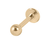 Zircon Steel Labrets (Gold colour PVD) 1.2mm, 8mm, 2.5mm