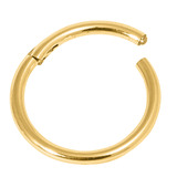 22ct Gold Plated Steel (PVD) Hinged Segment Ring (Clicker) - SKU 32372
