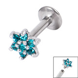 Titanium Internally Threaded Labrets 1.6mm - Steel Claw Set Jewelled Flower 1.6mm, 8mm, Turquoise