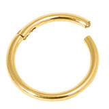 Gold Plated Steel Hinged Segment Ring (Clicker) 0.8mm, 8mm