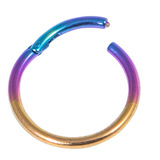 Titanium Hinged Segment Ring (Clicker) 1.0mm, 6mm, Rainbow