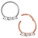 Steel Hinged Segment Ring with 3 Claw Set Jewels (Clicker) Steel and Rose Gold Steel (Pack of 2), 1.2mm, 10mm, Crystal Clear