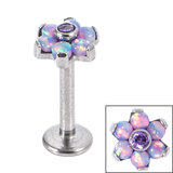 Titanium Internally Threaded Labrets 1.2mm - Titanium Claw Set CZ Jewelled and 6 Point Synth Opal Flower 1.2mm / 10mm / Tanzanite CZ with 6 Lilac Lights Opals