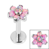 Titanium Internally Threaded Labrets 1.2mm - Titanium Claw Set 6 Point Synth Opal Flower 1.2mm / 8mm / Candy Pink Opals