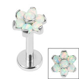 Titanium Internally Threaded Labrets 1.2mm - Titanium Claw Set 6 Point Synth Opal Flower 1.2mm / 6mm / Ice White Opals