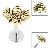 Titanium Internally Threaded Labrets 1.2mm - Steel Honey Bee Zircon Steel / 1.2mm / 10mm