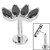Titanium Threadless Labrets - Titanium (Bend-fit) Claw Set 4 CZ Jewel Marquise Fan - SKU 37804