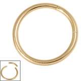 Zircon Titanium Smooth Segment Ring (Gold colour PVD) - SKU 37969