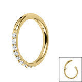 Gold Plated Titanium (PVD) 1.2mm Pave Set Jewelled Edge Hinged Clicker Ring - SKU 39128