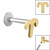 Titanium Internally Threaded Labrets 1.2mm - Gold Plated Steel Zodiac Signs - SKU 40628
