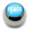 Steel Logo Balls - Words Peace