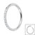 Titanium 1.2mm Pave Set Jewelled Edge Hinged Clicker Ring - SKU 66969