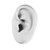Display - Silicone Ear Body Part - SKU 67109