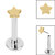 Titanium Threadless Labrets - Titanium (Bend-fit) Star - SKU 67738