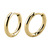 Titanium Huggie Ear Clicker Rings - Round (pairs) 1.0mm / 10mm / Gold Titanium - alternative image