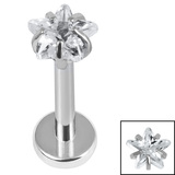 Titanium Internally Threaded Labrets 1.2mm - Titanium 4mm Claw Set CZ Jewelled Star 6mm / 4mm / Mirror Polish/Crystal Clear CZ