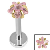 Titanium Internally Threaded Labrets 1.2mm - Titanium 4mm Claw Set CZ Jewelled Star 6mm / 4mm / Gold Titanium/Light Pink