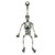 Belly Bar - Skeleton (TU307) - SKU 7227