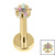 Gold Titanium Internally Threaded Labrets 1.2mm - Gold Titanium Claw Set CZ Jewelled Star - SKU 72302