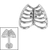 Titanium Caged Heart for Internal Thread shafts in 1.2mm - SKU 72788