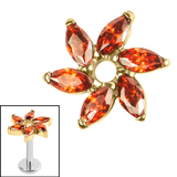 Titanium Internal Jewelled Catherine Wheel 1.2mm,Garnet / Gold Titanium