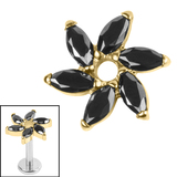 Titanium Internal Jewelled Catherine Wheel 1.2mm, Jet Black / Gold Titanium