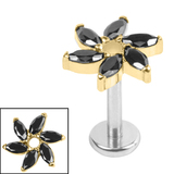Titanium Internally Threaded Labrets 1.2mm - Titanium Jewelled Catherine Wheel 1.2mm, 5mm / Polish Ti Labret / Gold Ti Jewel, Jet Black