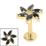 Gold Titanium Internally Threaded Labrets 1.2mm - Gold Titanium Jewelled Catherine Wheel 1.2mm, 10mm / Gold Ti Labret / Gold Ti Jewel, Jet Black