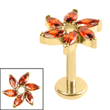 Gold Titanium Internally Threaded Labrets 1.2mm - Gold Titanium Jewelled Catherine Wheel 1.2mm, 7mm / Gold Ti Labret / Gold Ti Jewel, Garnet