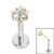 Titanium Threadless Labrets - Titanium (Bend-fit) Claw Set CZ Jewelled Star - SKU 73310