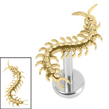 Titanium Internally Threaded Labrets 1.2mm - Titanium Centipede 1.2mm, 7mm / Mirror Polish / Gold Titanium